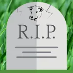 Cow Cemetery App icon