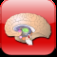 Anatomy Atlas iOS icon