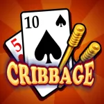 Cribbage Premium ios icon