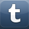Tumblr iOS icon
