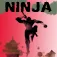 Ninja Shadow ios icon