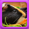 Piggies App Icon