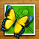 Perfect Photo iOS icon