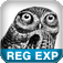 Regular Expression Pocket Reference iOS icon