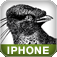 Programming the iPhone User Experience iOS icon