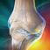 Blausen Skeletal Atlas iOS icon