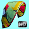 Kitesurf - The Ultimate Kiteboarding Simulation Game App Icon