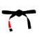 iBJJ iOS icon
