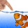 Fish Fingers 3D Interactive Aquarium iOS icon