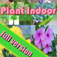 plant Indoor iOS icon