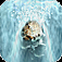 Pocket Falls iOS icon