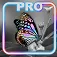 iQuikSplash PRO App icon