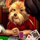 Dogs Playing Poker Free ios icon