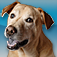 StreamS HiFi Radio iOS icon
