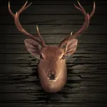 Ace Deer Hunting Lite App icon