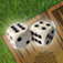 iTavla For iPhone App Icon