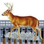 Deer Call Mixer App icon