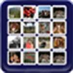 photoBangPro App icon