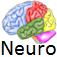 Neuro Primer iOS icon