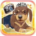 My Dog My Room Free App icon