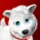 Touch Pets Dogs 2 ios icon