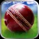 Cricket WorldCup Fever Deluxe ios icon