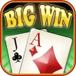 Big Win Blackjack App Icon