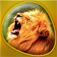Animals 360 Gold App Icon