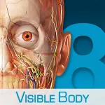 Human Anatomy Atlas  3D Anatomical Model of the Human Body