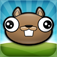 Noogra Nuts App Icon