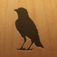 Blackbird! App Icon