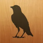 Blackbird! ios icon