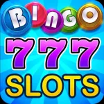 Bingo Slots App icon