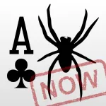 Spider Solitaire Now App icon