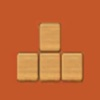 Woodoku Blockdoku Premium App icon