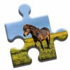 Pony Love Puzzle App icon