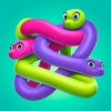 Snake Knot: Sort Puzzle Game App Icon