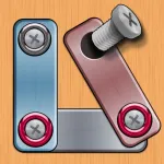 Nuts And Bolts ios icon