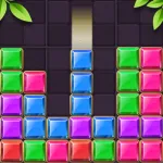 One Block Puzzle Premium App Icon