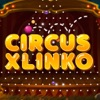 Circus-Xlinko App