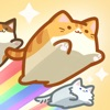 Box Cat Jam App Icon