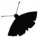 The Moth App Icon
