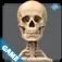 Skeletal Anatomy Game App icon