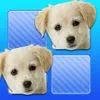 Memo Game Pets Photo for kids young childrens toddler ios icon