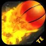 Arcade Basketball 3D Tournament Edition ios icon