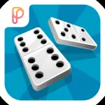 Domino PlaySpace App Icon
