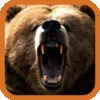 Brown Bear Hunting App Icon