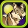 A Wild Wolf Moon Run Adventure App Icon
