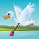 Duck Bow Hunt App Icon