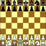 Remote Chess ios icon